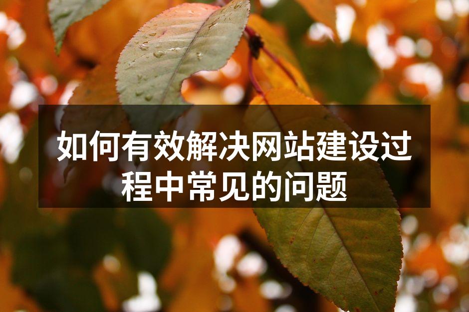 网站加载速度优化示意图