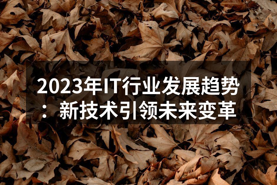 2023年IT行业发展趋势：新技术引领未来变革