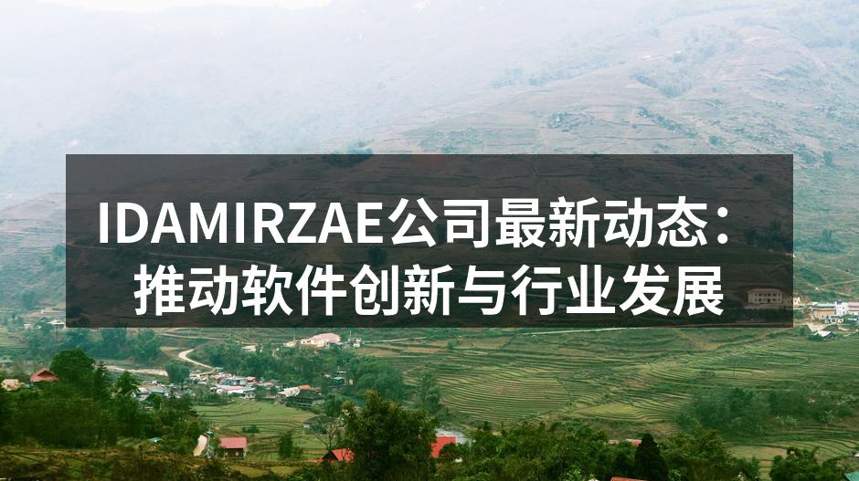 IDAMIRZAE团队在讨论新产品策略