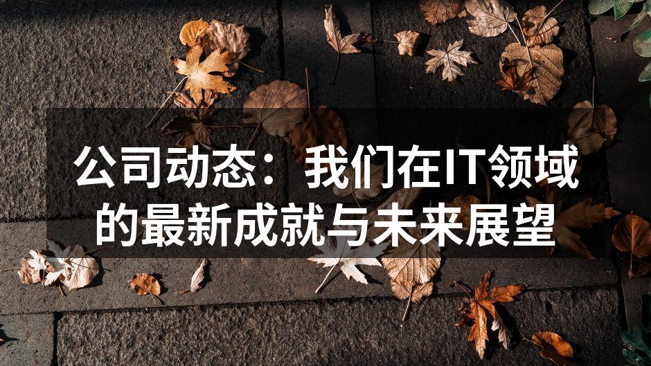 公司动态：我们在IT领域的最新成就与未来展望